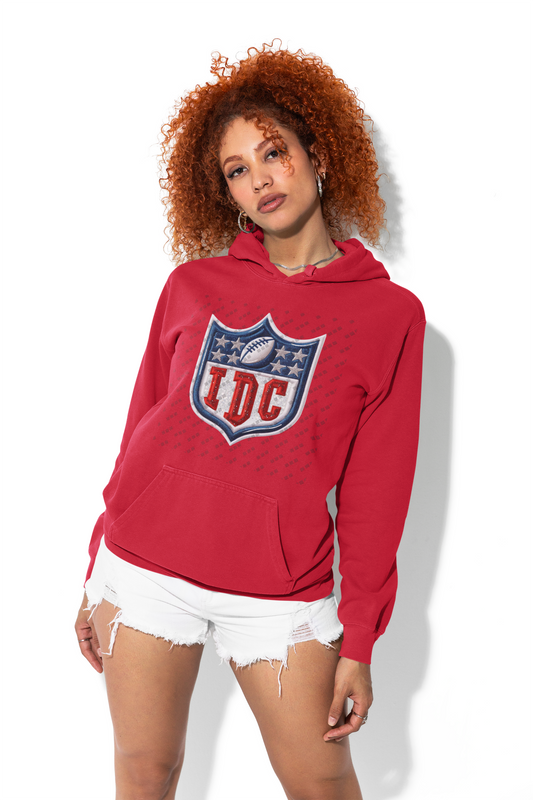 I Don't Care – Faux Embroidered NFL Symbol Women's Hoodie